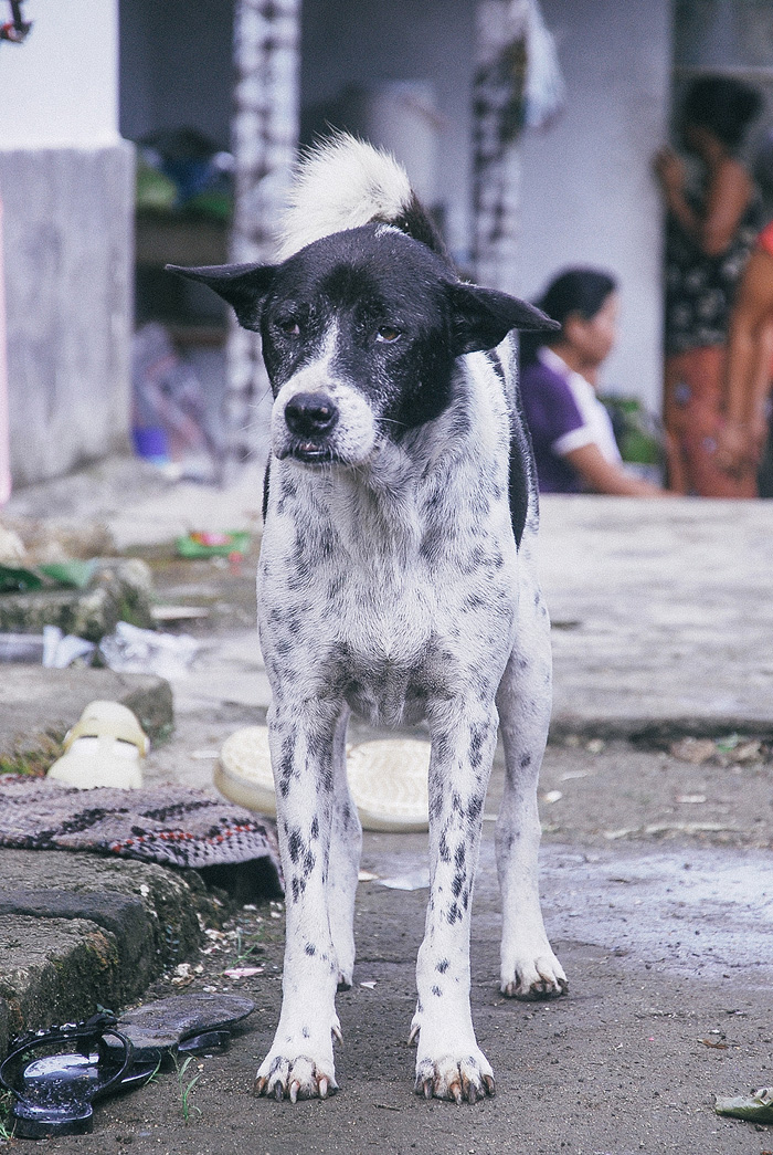 Apel Photography - Story Telling Photography - Culture - Street - Portrait - Bali - Budaya Photography - Stock Photo - nusa penida - devikha (14)