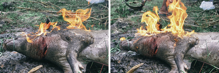 Apel Photography - Story Telling Photography - Culture - Street - Portrait - Bali - Budaya Photography - Stock Photo - nusa penida - devikha (3)