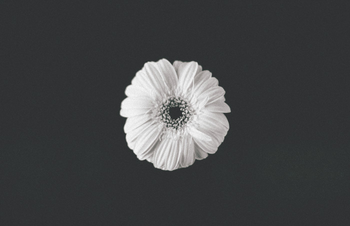 Destination Wedding photography at Kayu Manis Villas Bali Indonesia - bali wedding Photography - Lembongan Nusa Penida Photography - Profesional Photographers In Bali - Wedding - Prewedding - engagement (1)