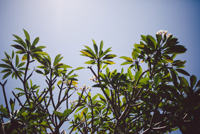 Destination Wedding photography at Kayu Manis Villas Bali Indonesia - bali wedding Photography - Lembongan Nusa Penida Photography - Profesional Photographers In Bali - Wedding - Prewedding - engagement (3)