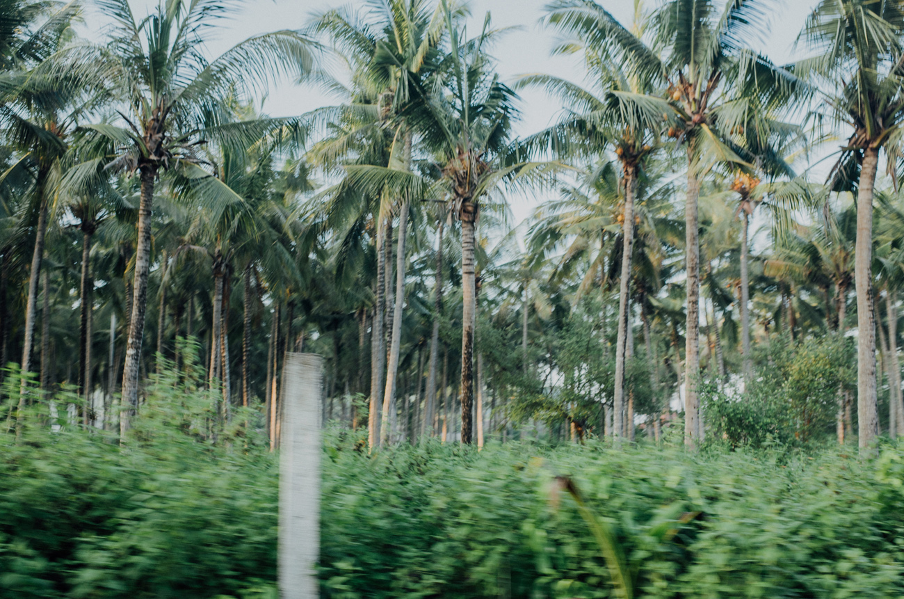 apelphotography-ricohgrii-newricoh-reviewcamera-ricohreview-pandeheryana_04