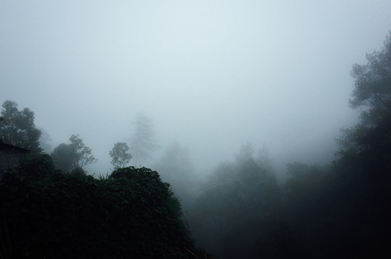 apelphotography-ricohgrii-newricoh-reviewcamera-ricohreview-pandeheryana_07