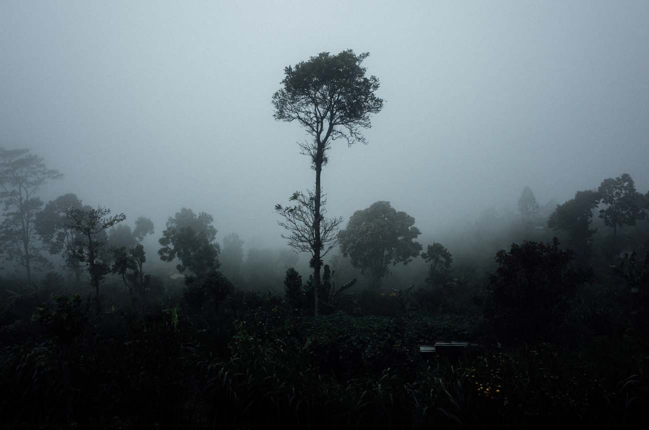 apelphotography-ricohgrii-newricoh-reviewcamera-ricohreview-pandeheryana_13