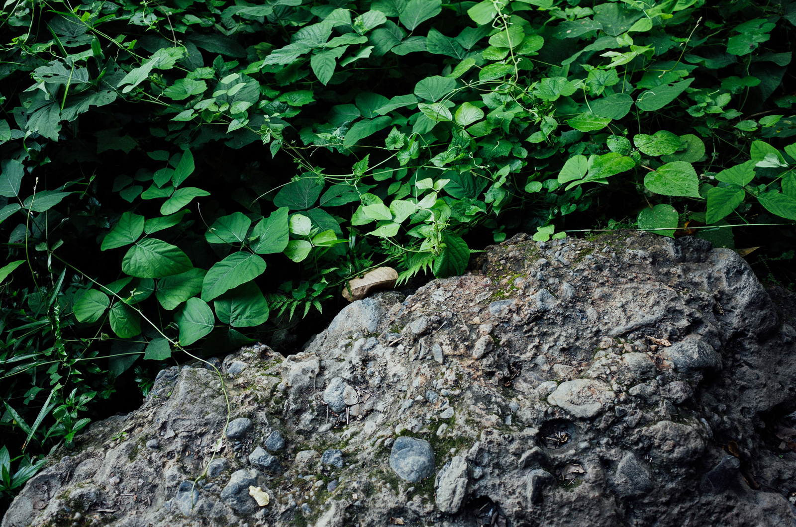 ricohGRII-pocketcamera-streetphotography-reviewcamera-gearforphotography-apelphotography-pandeheryana_13