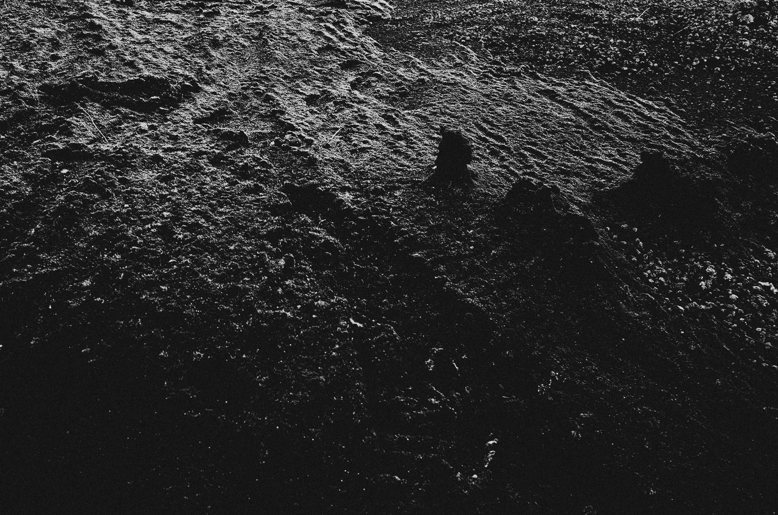 ricohGRII-pocketcamera-streetphotography-reviewcamera-gearforphotography-apelphotography-pandeheryana_6