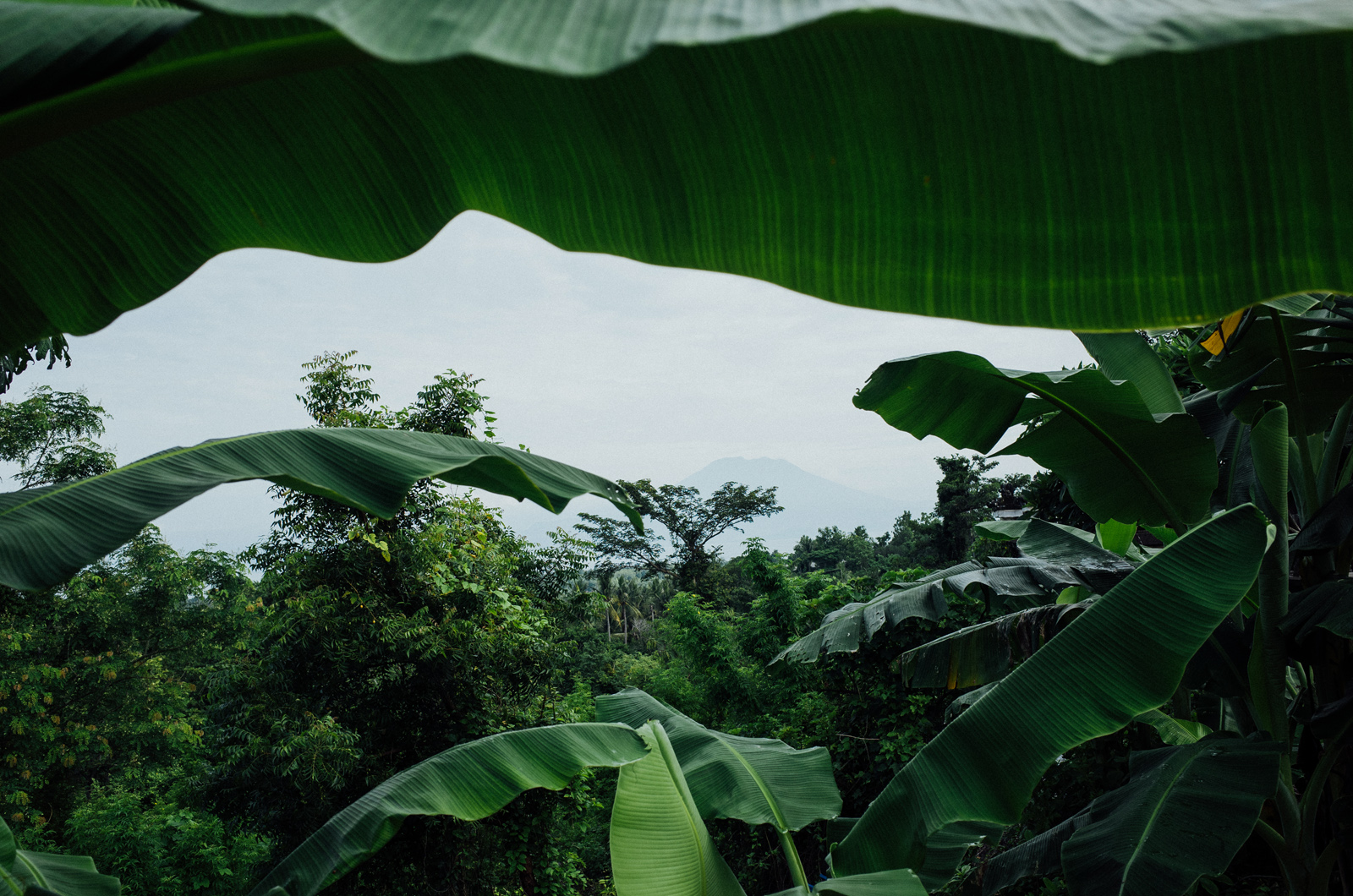 ricohGRII-pocketcamera-streetphotography-reviewcamera-gearforphotography-apelphotography-pandeheryana_9