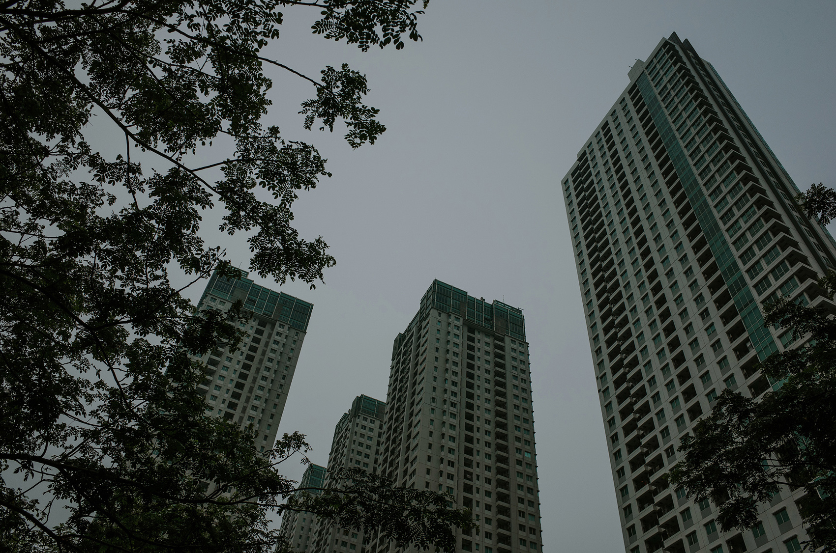 ricohGR2-ricohGRII-pocketcamera-apelphotography-reviewcamera-4