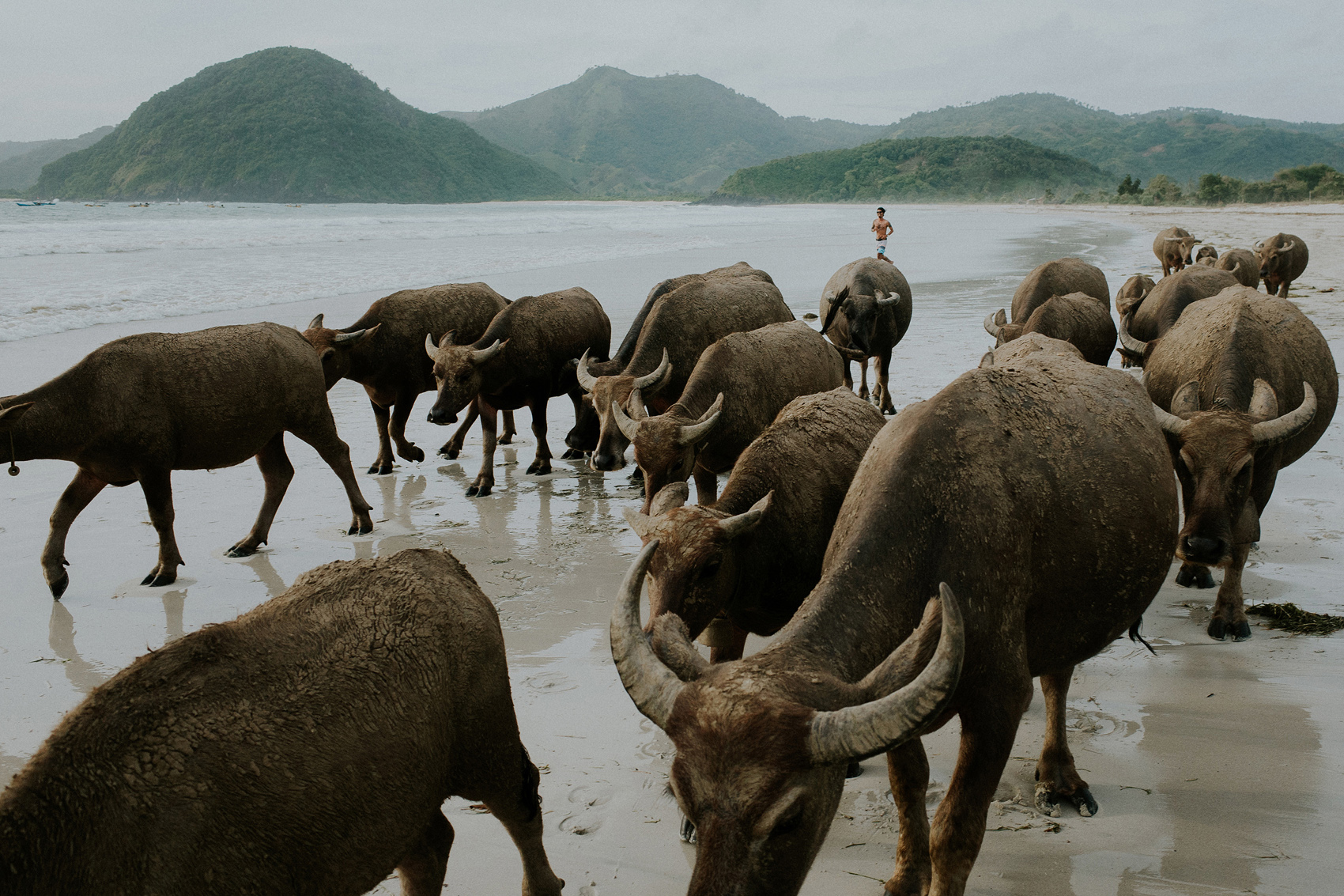 ricohGR2-ricohGRII-pocketcamera-apelphotography-reviewcamera-5