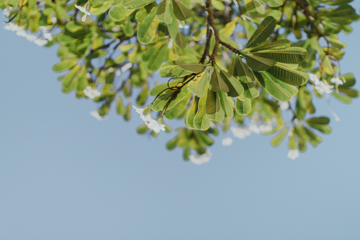ApelPhotographyh-amanusavillaweddingamanusanusadua-weddingphotography-photographersinbali-lombokweddingphotographers-lembonganaweddingphotgraphers-17