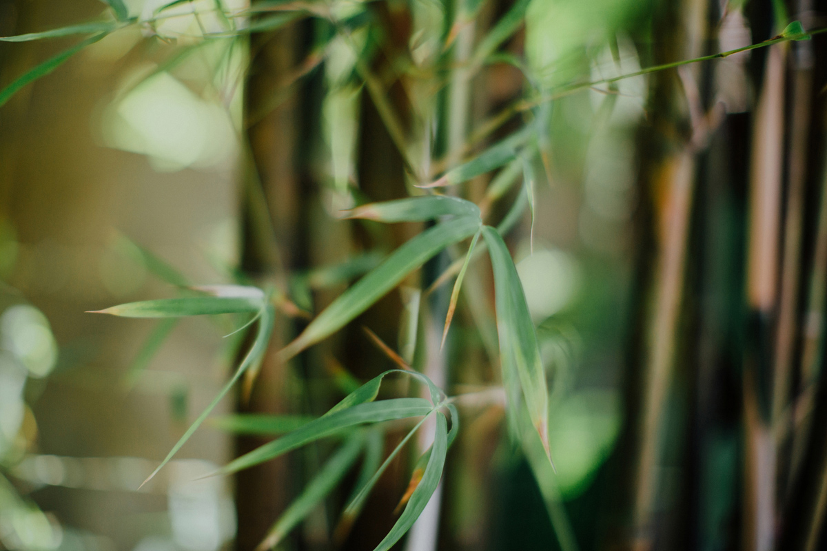 ApelPhotographyh-amanusavillaweddingamanusanusadua-weddingphotography-photographersinbali-lombokweddingphotographers-lembonganaweddingphotgraphers-2