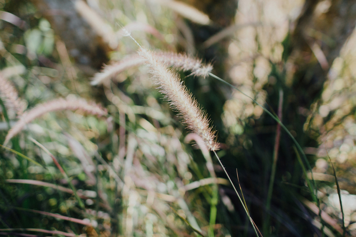 ApelPhotographyh-amanusavillaweddingamanusanusadua-weddingphotography-photographersinbali-lombokweddingphotographers-lembonganaweddingphotgraphers-35
