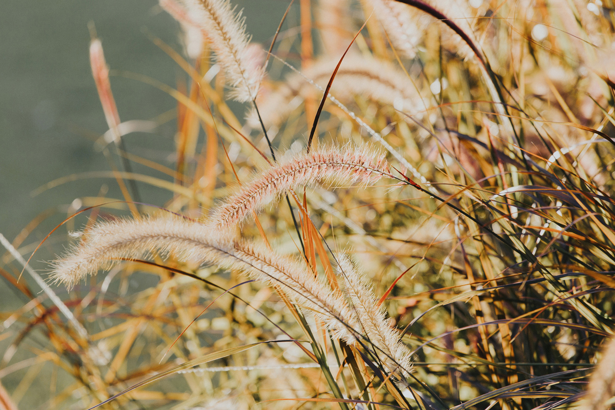 ApelPhotographyh-amanusavillaweddingamanusanusadua-weddingphotography-photographersinbali-lombokweddingphotographers-lembonganaweddingphotgraphers-66